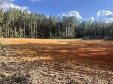 Exterior - 3247 Highway 702, Chappells, SC 29037 photo 5 of 8