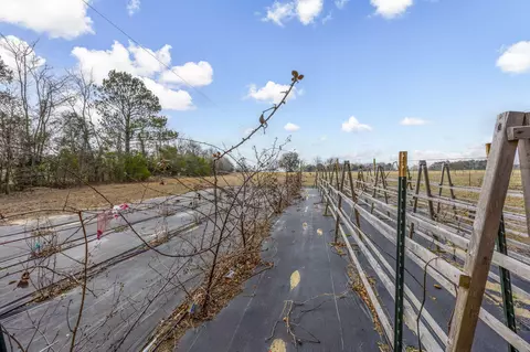 Exterior - 138 Coldstream Rd, Salley, SC 29137 photo 10 of 13