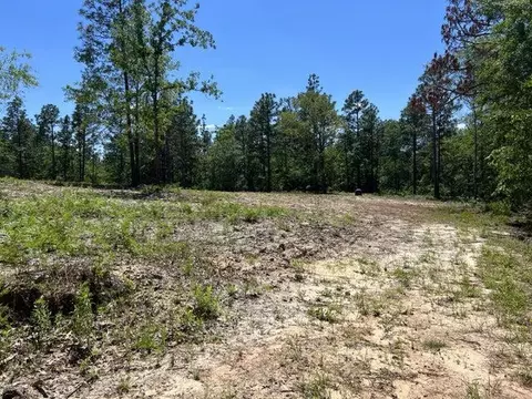 Na Fire Tower Road, Aiken, SC 29803