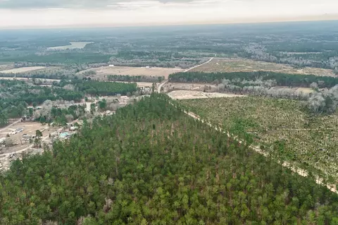 00 Otis Baughman Sr Rd, Wagener, SC 29164