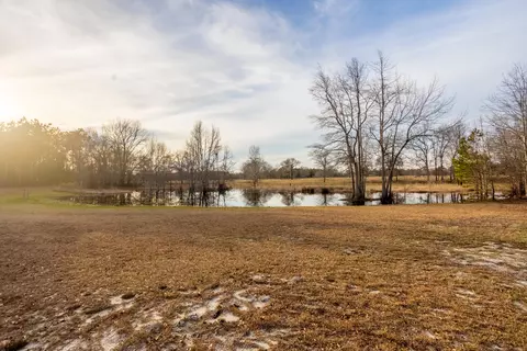 1287 Moonlight Rd, Williston, SC 29853 photo 21