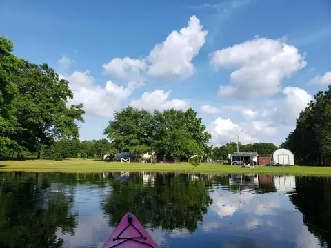 1287 Moonlight Rd, Williston, SC 29853 photo 2