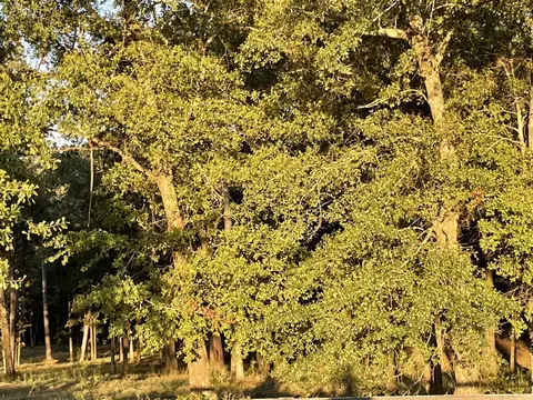 O New Holland Road, Aiken, SC 29805