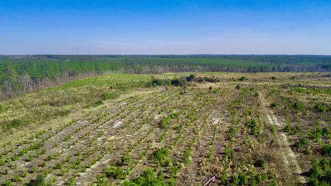 000 Three Notch Rd, Monetta, SC 29105