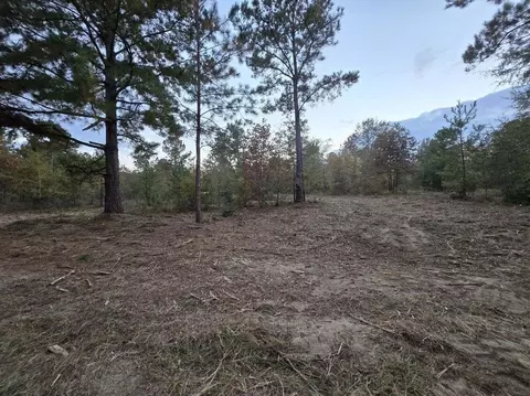 lot6 Blue Bonnet Vallet Rd, Williston, SC 29853