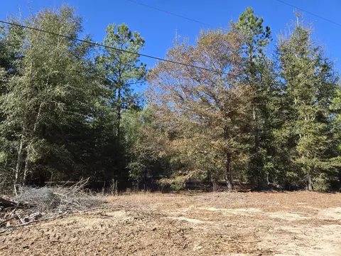 12 A Blue Bonnet Vly, Williston, SC 29853 photo 3