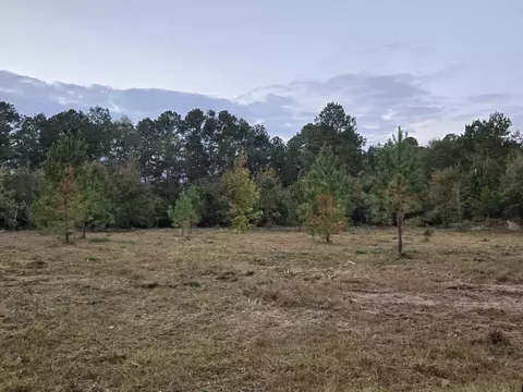 lot27 28 Ash Lane Ln, Williston, SC 29853