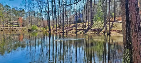 138 Hummingbird Dr, Trenton, SC 29847