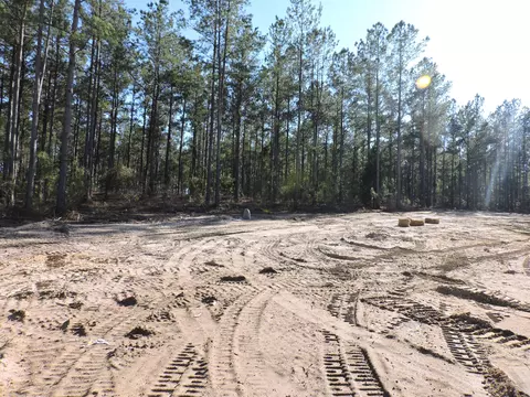 818 White Pond Rd, Williston, SC 29853 photo 7