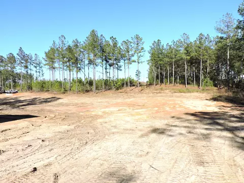818 White Pond Rd, Williston, SC 29853 photo 4