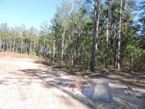 818 White Pond Rd, Williston, SC 29853 photo 5