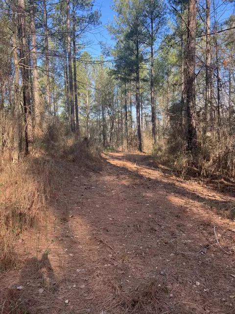2 Poplar Springs Rd, Wagener, SC 29164