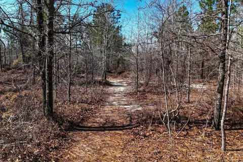 158 N Windsor Rd, Windsor, SC 29856 photo 81