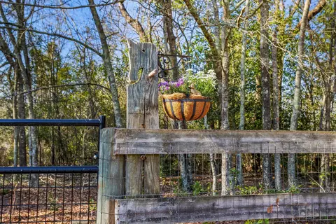 158 N Windsor Rd, Windsor, SC 29856 photo 63