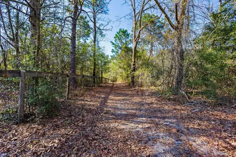 158 N Windsor Rd, Windsor, SC 29856 photo 55