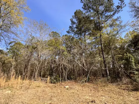 3 13 Acres Skyland Farm Rd, Williston, SC 29853 photo 4