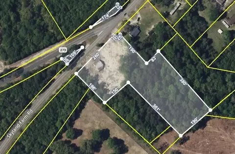 3 13 Acres Skyland Farm Rd, Williston, SC 29853 photo 5