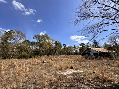 3 13 Acres Skyland Farm Rd, Williston, SC 29853