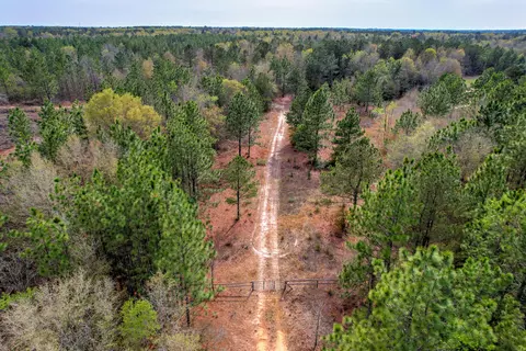 11 Acres N Windsor Rd, Windsor, SC 29856 photo 3