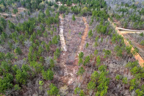 11 Acres N Windsor Rd, Windsor, SC 29856 photo 12