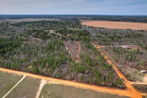 11 Acres N Windsor Rd, Windsor, SC 29856 photo 10