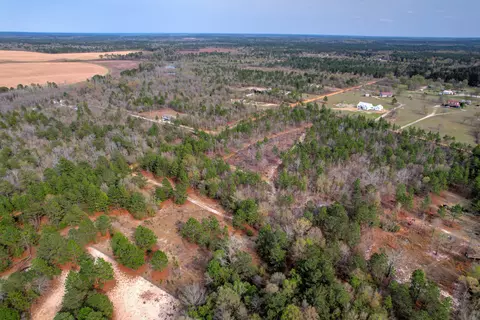 11 Acres N Windsor Rd, Windsor, SC 29856 photo 16