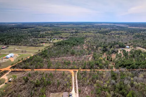 11 Acres N Windsor Rd, Windsor, SC 29856 photo 8