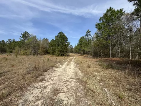 11 Acres N Windsor Rd, Windsor, SC 29856 photo 4