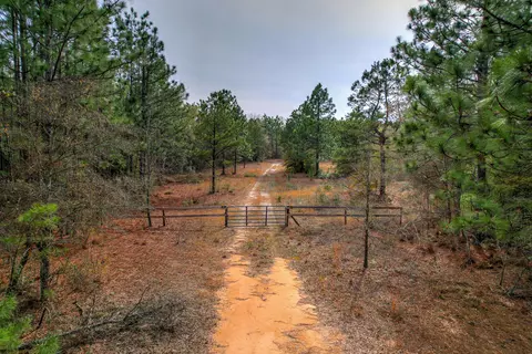 11 Acres N Windsor Rd, Windsor, SC 29856