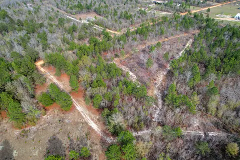 11 Acres N Windsor Rd, Windsor, SC 29856 photo 15