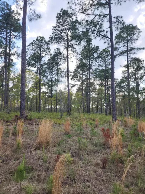 lot43 Pasture Creek Ln, Aiken, SC 29803