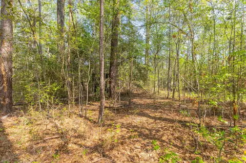2095 Wire Rd, Aiken, SC 29805 photo 19