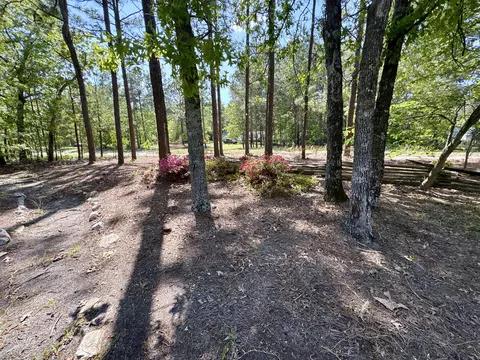 301 Green Hills Dr, Gilbert, SC 29054 photo 37