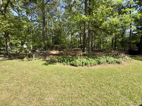 301 Green Hills Dr, Gilbert, SC 29054 photo 31