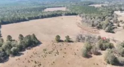 tbd 75 Highway 39, Williston, SC 29853