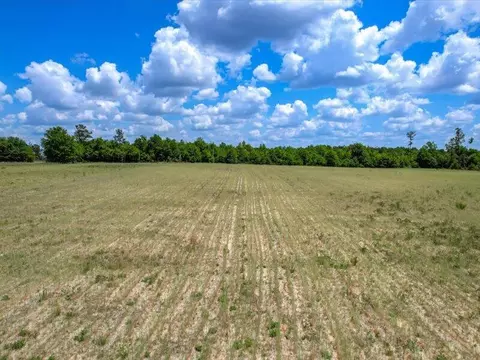 127 Tinker Creek Rd, Williston, SC 29853 photo 5