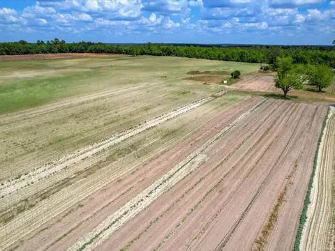 127 Tinker Creek Rd, Williston, SC 29853 photo 4