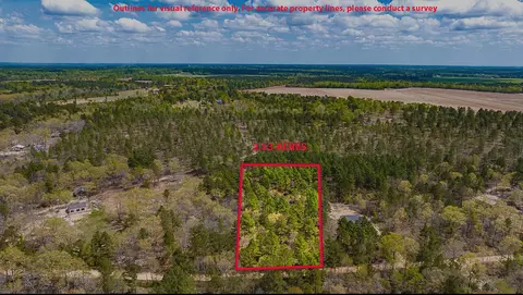 lot4 Bluffwood Rd, Wagener, SC 29164