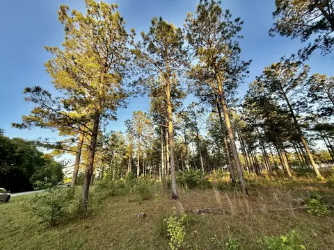 506 Nature Trl, Blackville, SC 29817