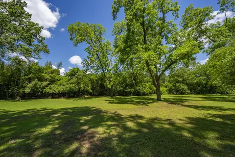 1006 W Main St, Ridge Spring, SC 29129 photo 31