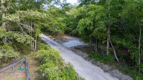 5 Acres Wasp Loop, Williston, SC 29853 photo 8