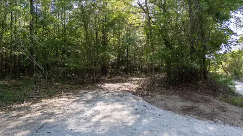 5 Acres Wasp Loop, Williston, SC 29853 photo 5