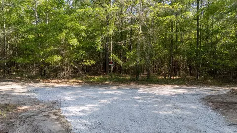 5 Acres Wasp Loop, Williston, SC 29853 photo 3