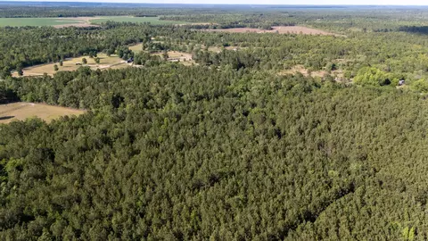 0 Wasp Loop #LOT B, Williston, SC 29853 photo 7
