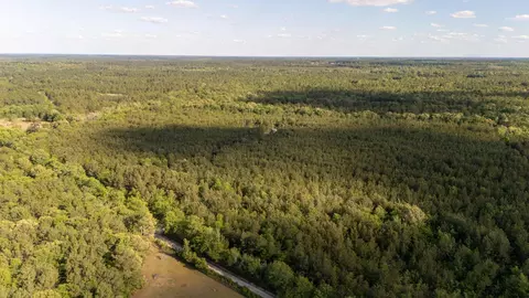 0 Wasp Loop #LOT B, Williston, SC 29853 photo 8