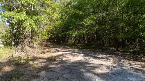 0 Wasp Loop #LOT B, Williston, SC 29853 photo 3