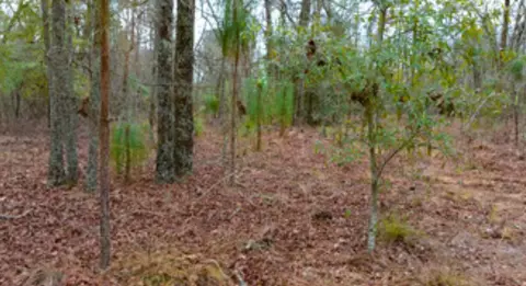 00 Fox Run, Windsor, SC 29856 photo 14