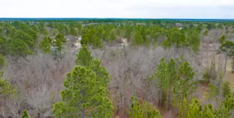00 Fox Run, Windsor, SC 29856 photo 12