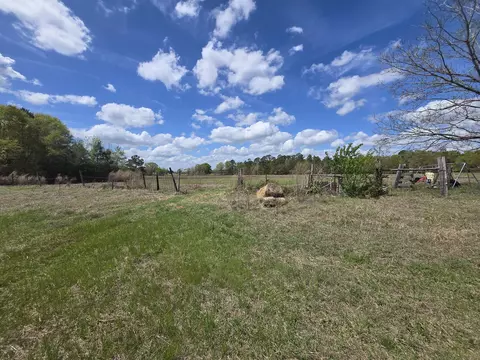 tbd E 10 Hwy 39 Rd, Williston, SC 29853