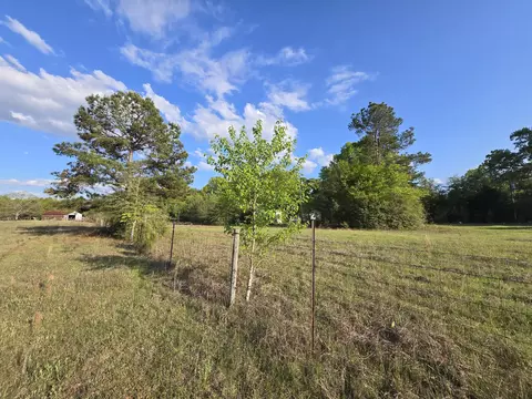 tbd E 10 Hwy 39 Rd, Williston, SC 29853 photo 3